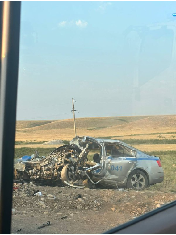 Альфард жүргізушісі 11 баланы жетім қалдырды